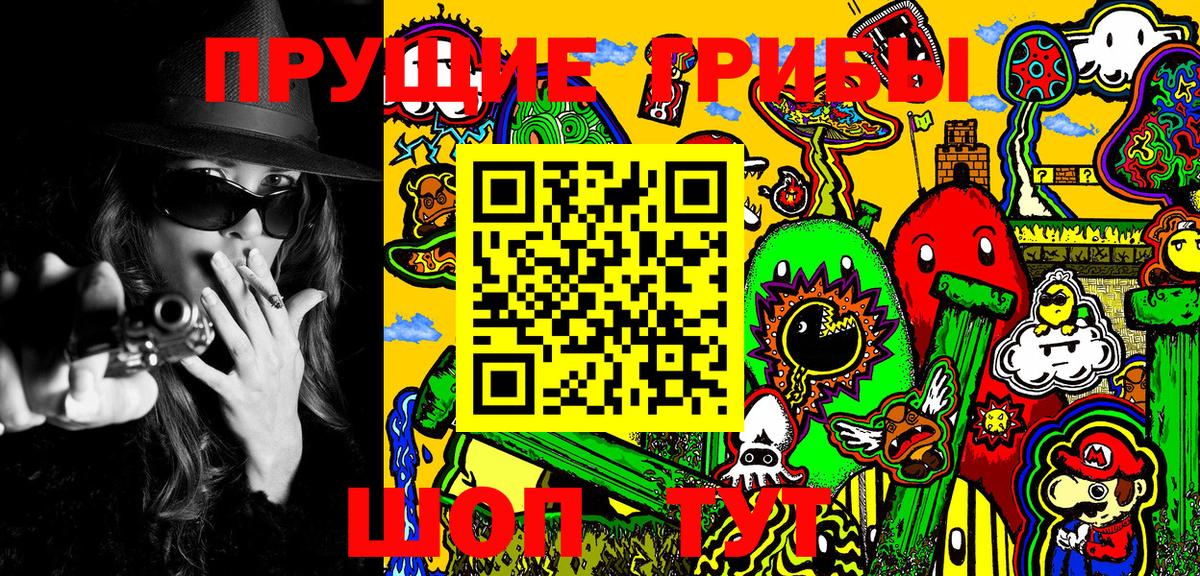 сколько стоит  Вход с VPN  Минусинск  Псилоцибиновые грибы прущие грибы 