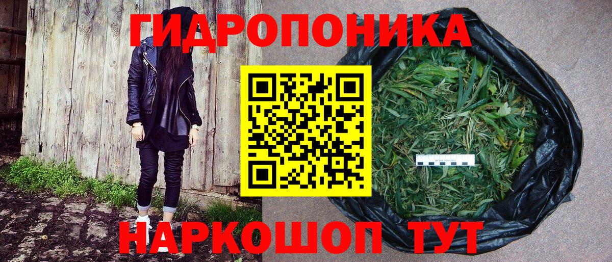 Каннабис конопля Минусинск